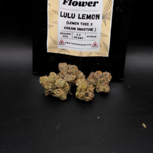 Indoor Organic Soil Flower